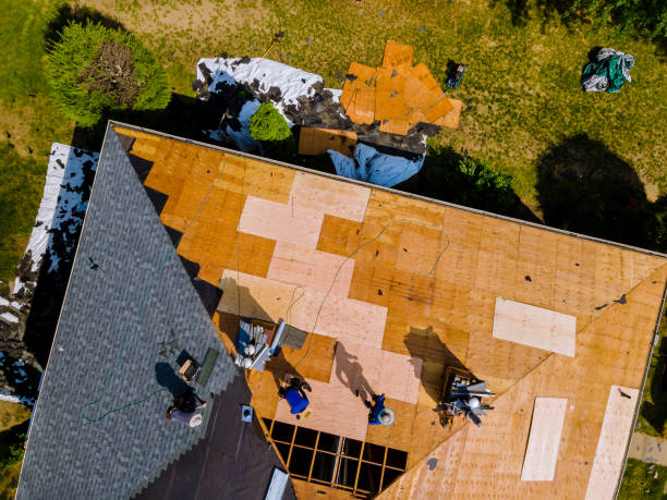 Best Storm Damage Roof Repair  in Charleston, WV